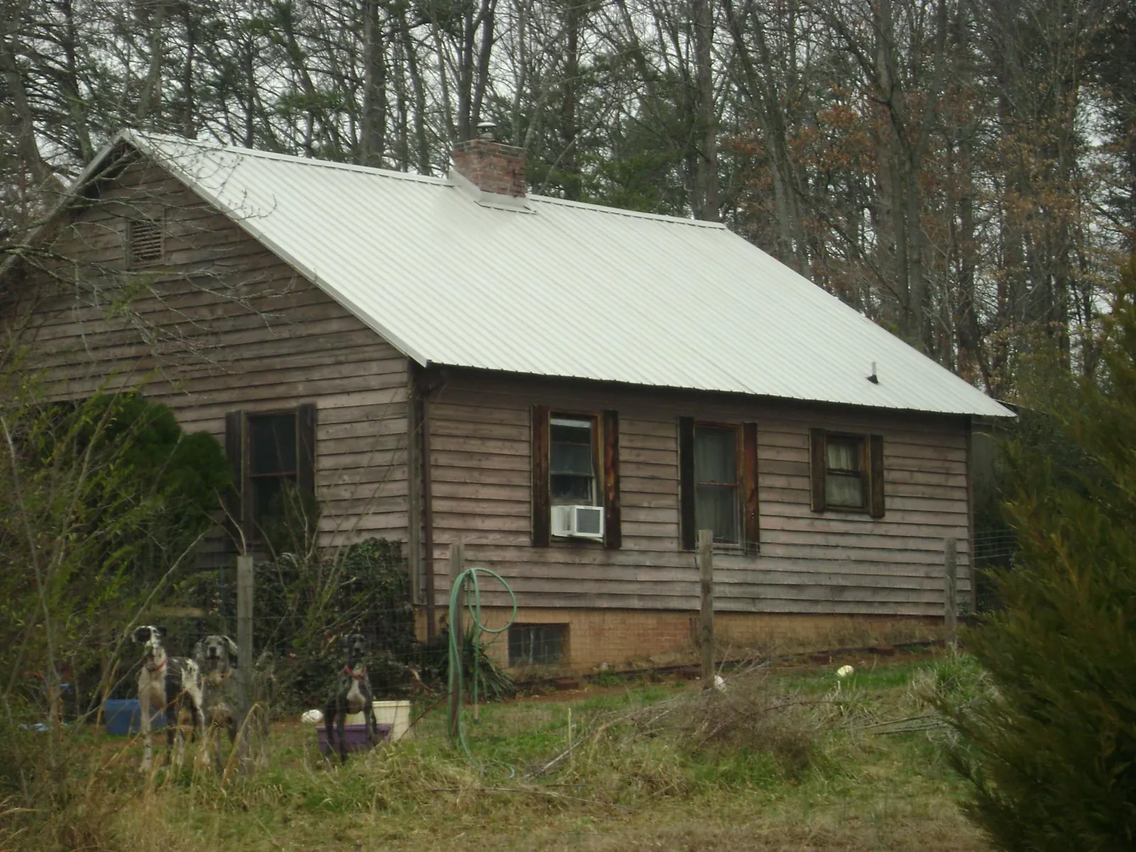 White metal roof on an old wood sided farmhouse, from a Asphalt Shingle Roof Repair job in Minerva